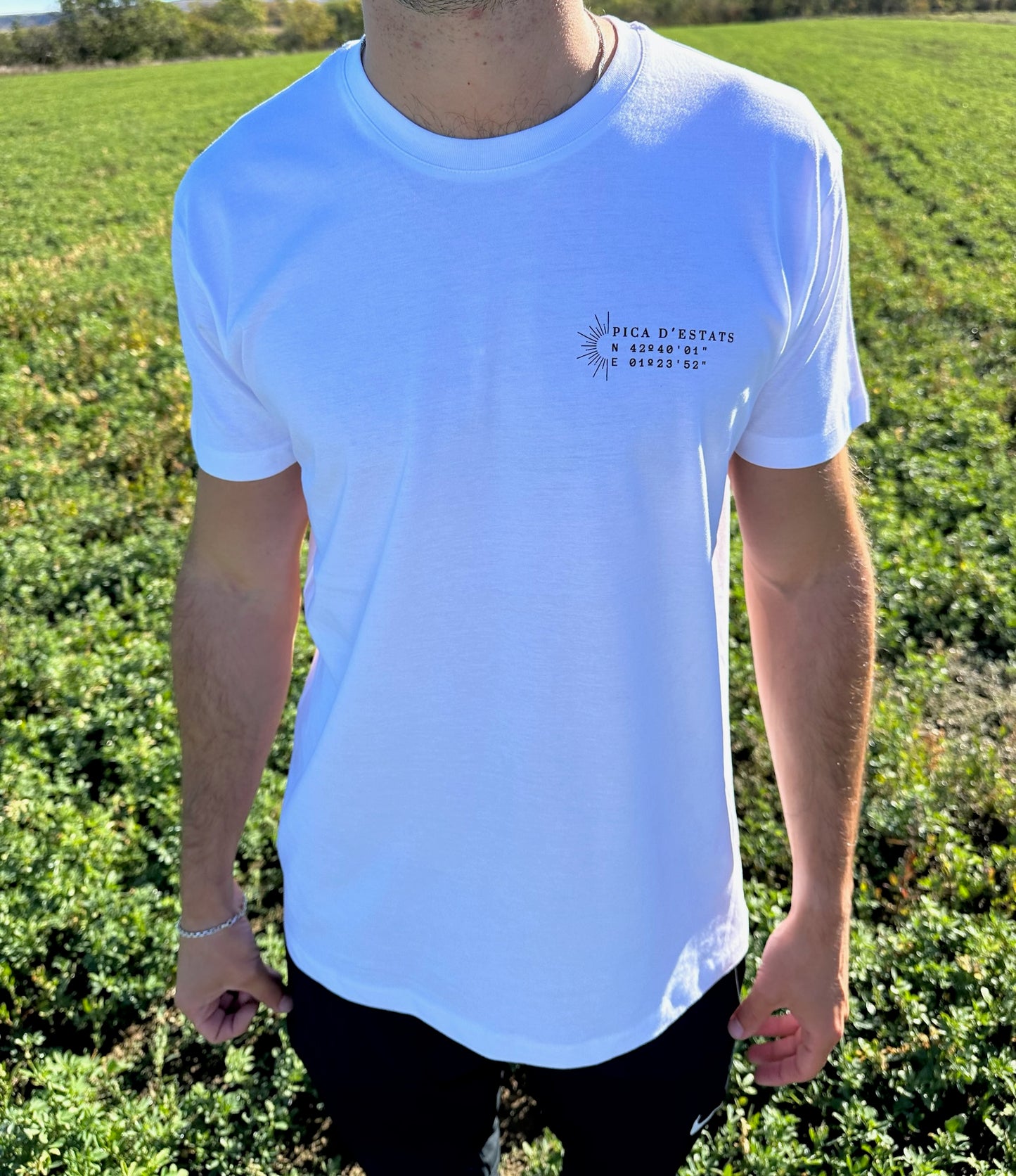 Camiseta Pica D'Estats