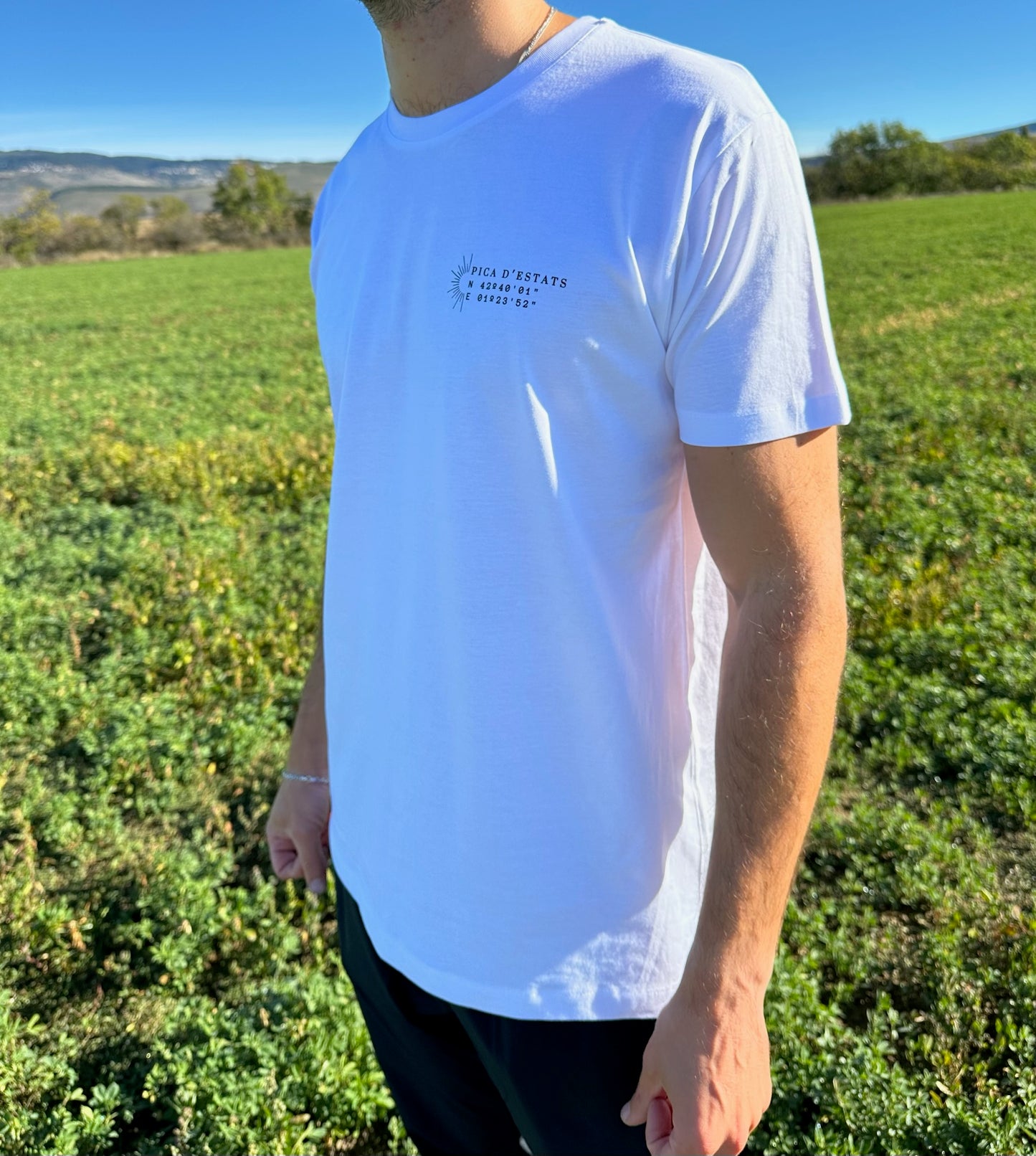 Camiseta Pica D'Estats