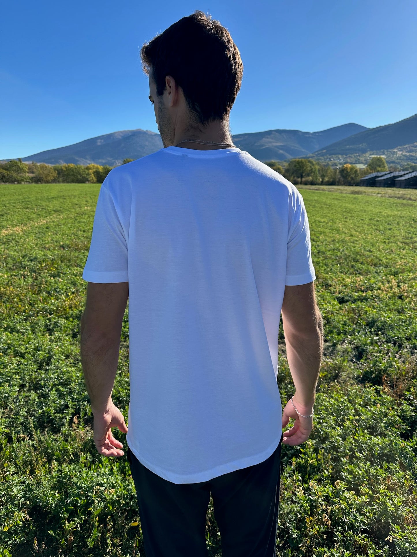 Camiseta Pica D'Estats